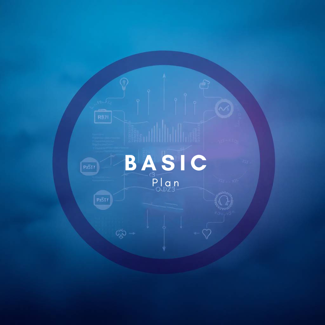 Basic Plan